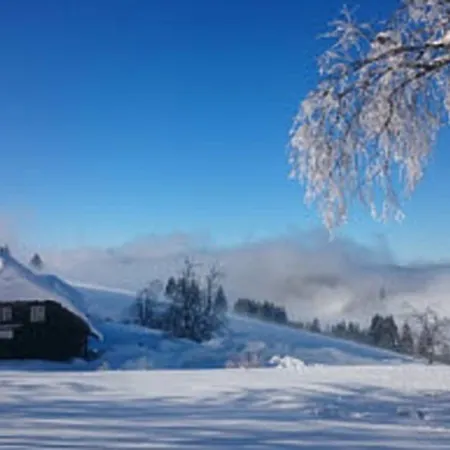 Berggasthaus Gisiboden Hotel