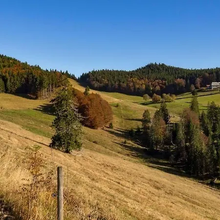 Hotel Berggasthaus Gisiboden 2*