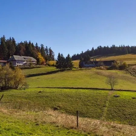 Hotel Berggasthaus Gisiboden 2*